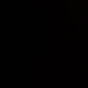 Meet your Posher, Alexus